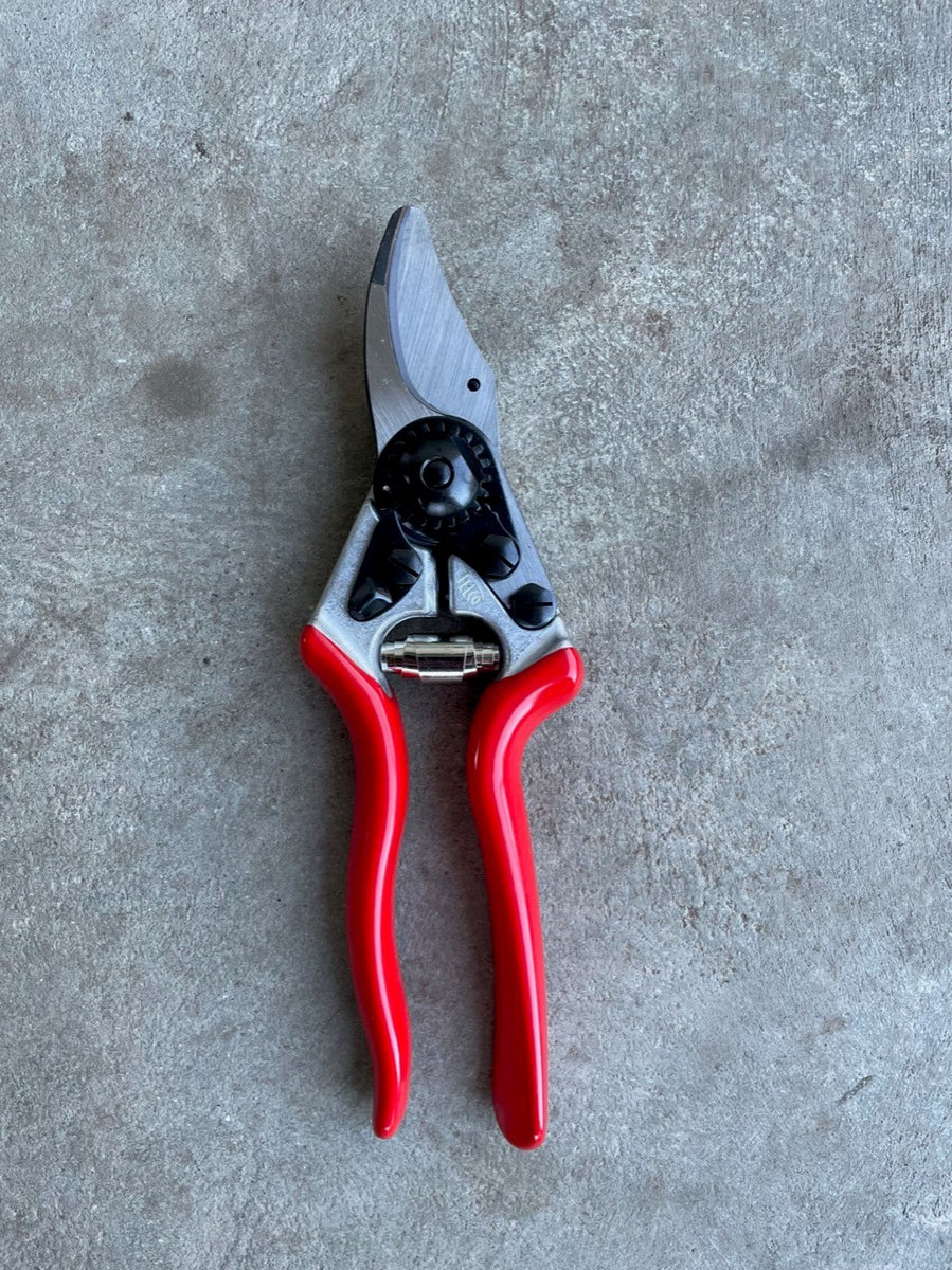 Felco 6 Pruners – Moonflower Gardens